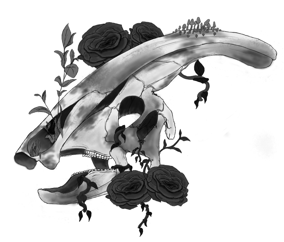 The greyscale version of the Parasaur drawing