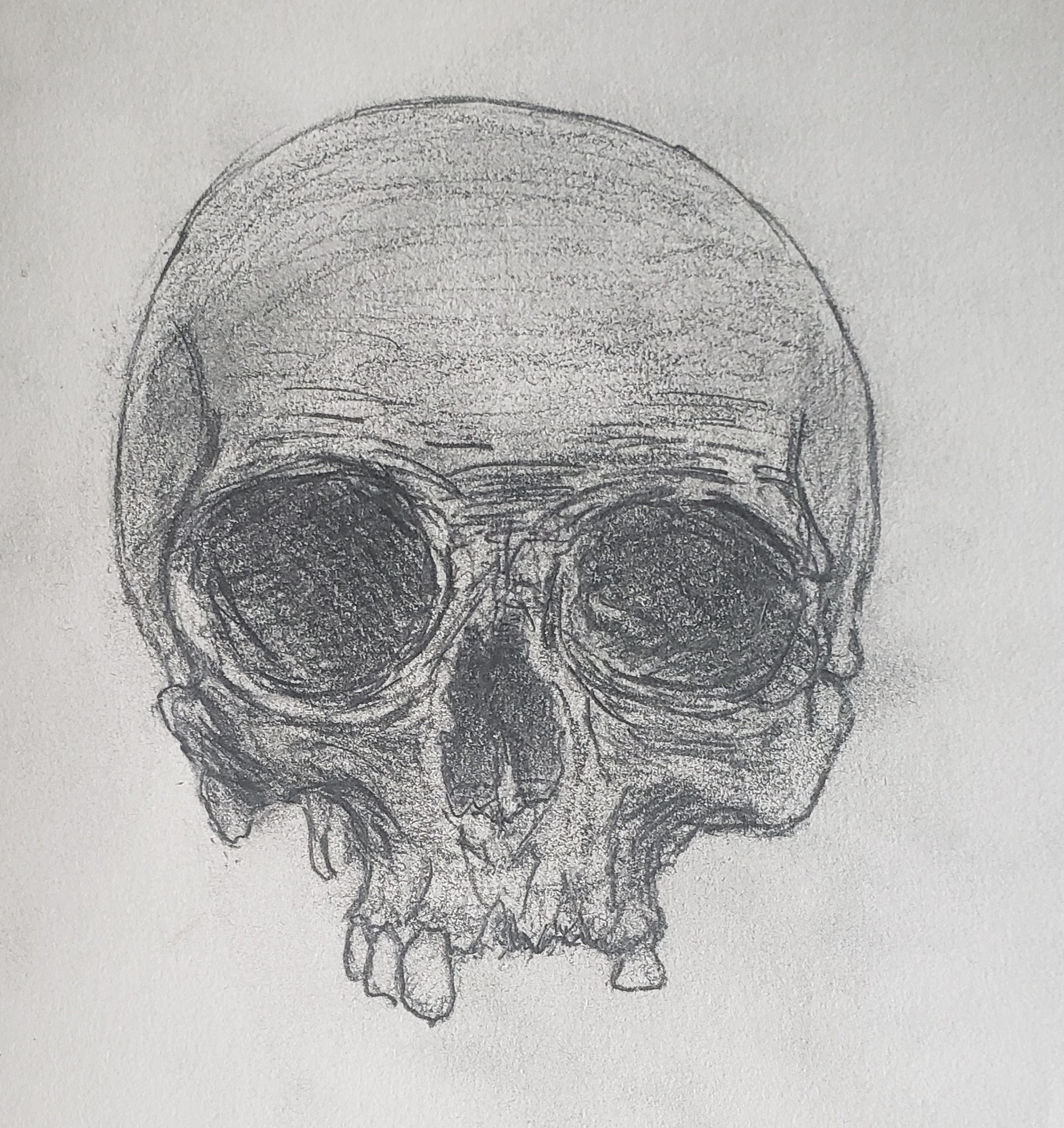 A pencil drawing of a skull with extra detial put into the shading